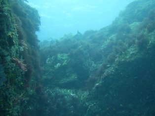 �ӡ����Ǥ����Ϸ���