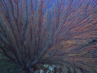 �忼������