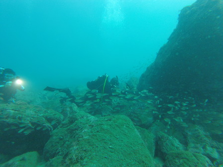 GOPR1126