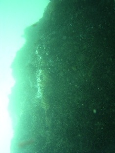 �ǳ�����