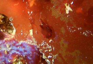 CIMG0366(1)