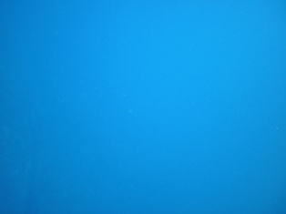 PB140786