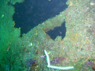 Ǯ������