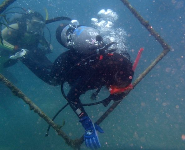 ����Ĵ����