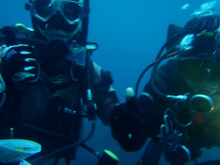 ���ϣץʥӥХǥ���