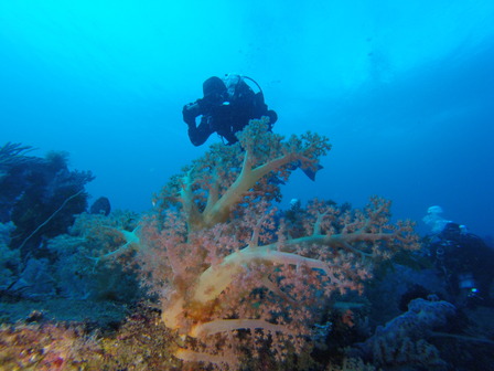 GOPR6514_1545613860649_high