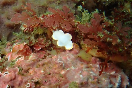 8n1Di7wa8RX6ZyfilCCf5pRyW3yG1HAnmaqrFE8dmMMeJxFPc