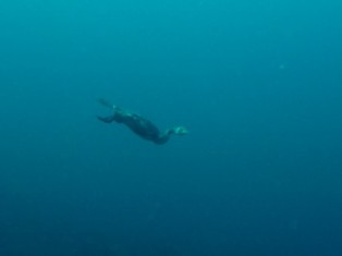 �����Ļ��