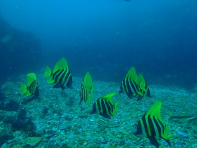P5040609