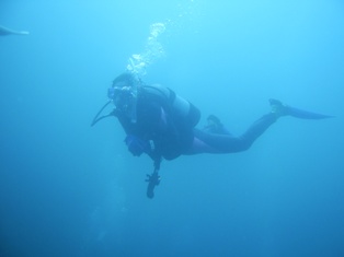 ���ȴ���������