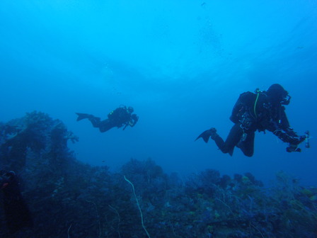 GOPR6519_1545613860649_high