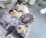 ������������������ӻ��桪