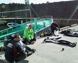 �ݥ��ݥ����Ƥ��Ƶ������������͡�