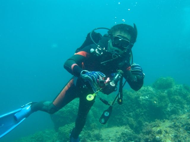 初島 (84)