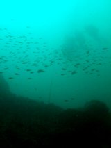 ���������桪��