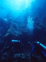 ��å������ӥ����ʡ�