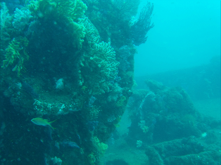 atami11