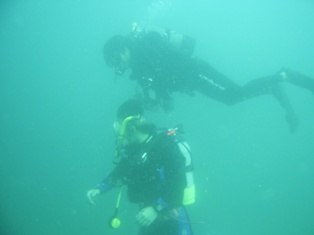 ;͵����͡�