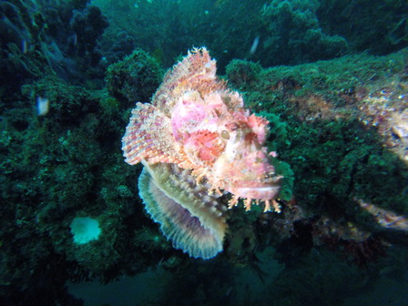 GOPR7933_1561263256558_high