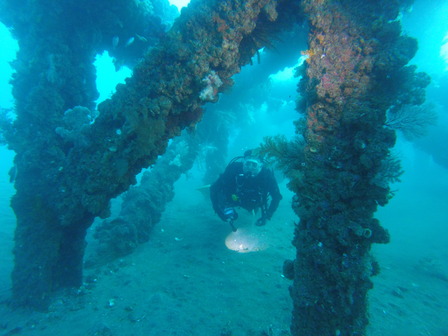 GOPR4033