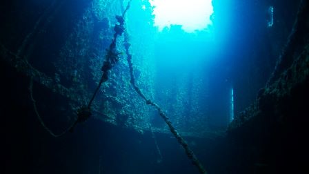 12006224_689841081116046_7231217642146653558_n