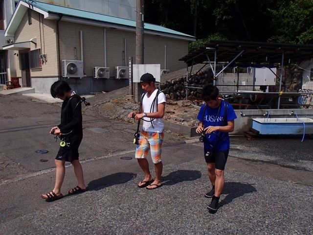 �ʥ�����