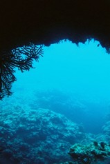 ƶ����ȴ����Ȥ����ϡ�������(��o��)��