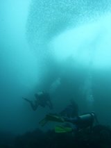 ���졪���졪�������