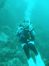 ���掠�ΰ�������