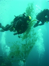 ��äȤĤ���줿��