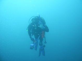 Ǯ������