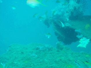 atami8