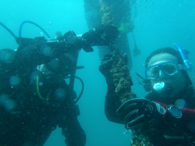 �������������� (6)