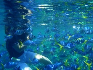 ����������ӥ�