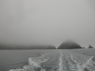 ̸����������