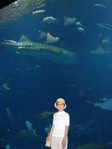 ����٥��Ǥ�����