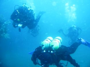 �ƥ��˥��������