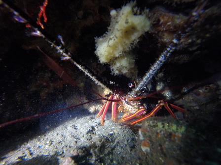 GOPR7900_1561263256558_high