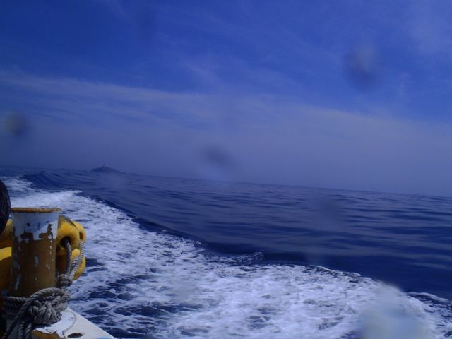 ���Ҹ��ɥ�ե� (3)