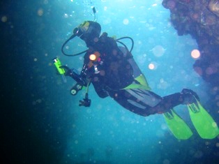 ƶ�����������