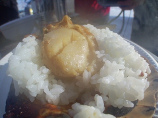 �ۥ��ƥХ������Ϥ�