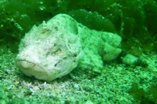 ���५����