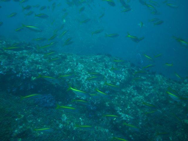 �����ٷ���