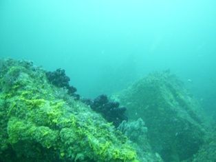 �������ܡ���