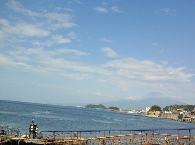 ����ͥǥ�����