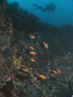 ����ȥ����С�