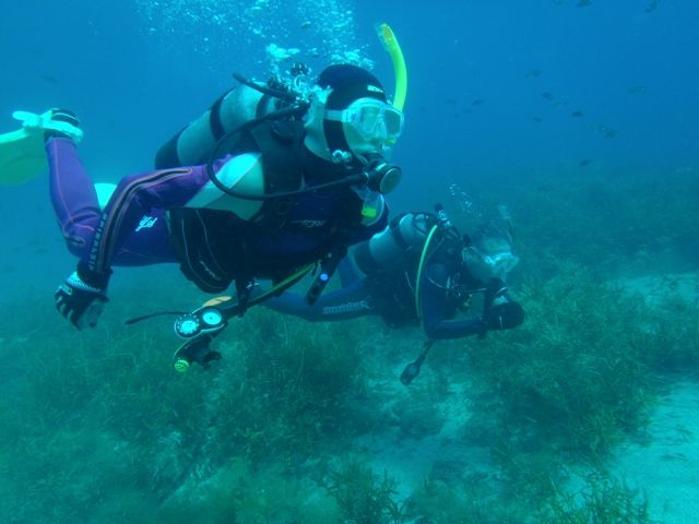 �ɺ�ܡ��� (11)