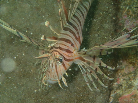 P5040006