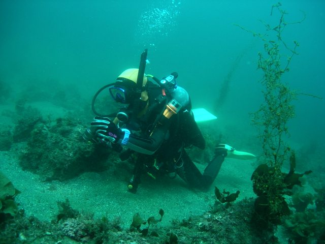 �ӡ�����ե�å��� (4)