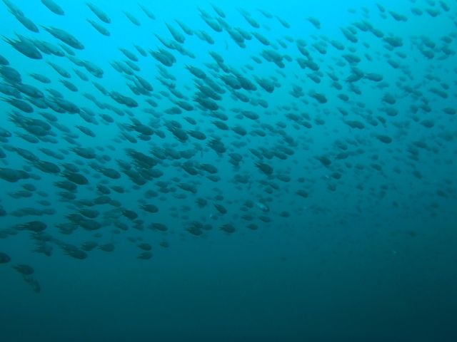 �������ܡ��� (6)